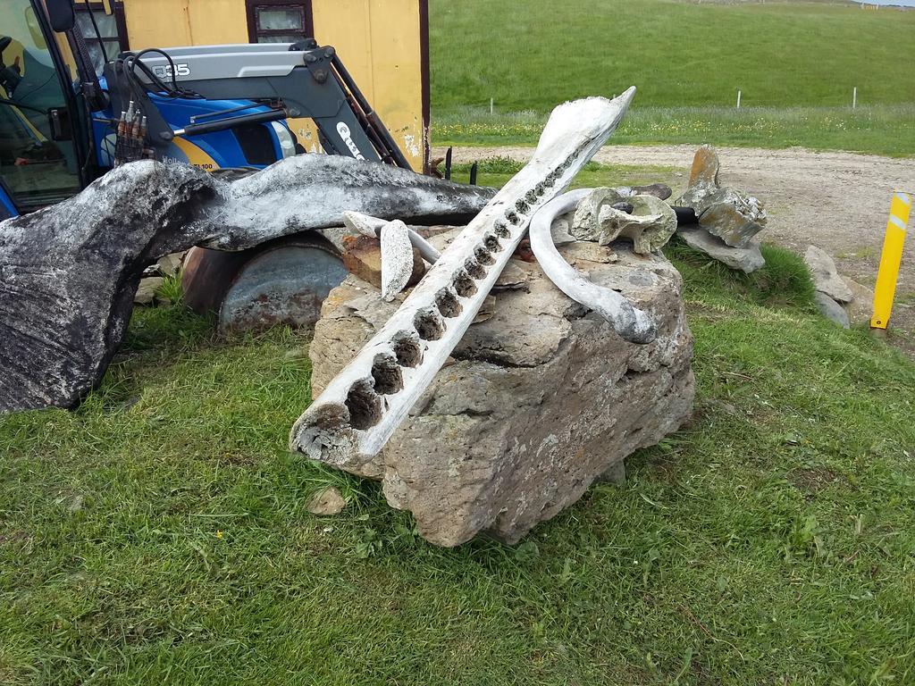 Haenuvik Cottages Hnjotur Exterior foto